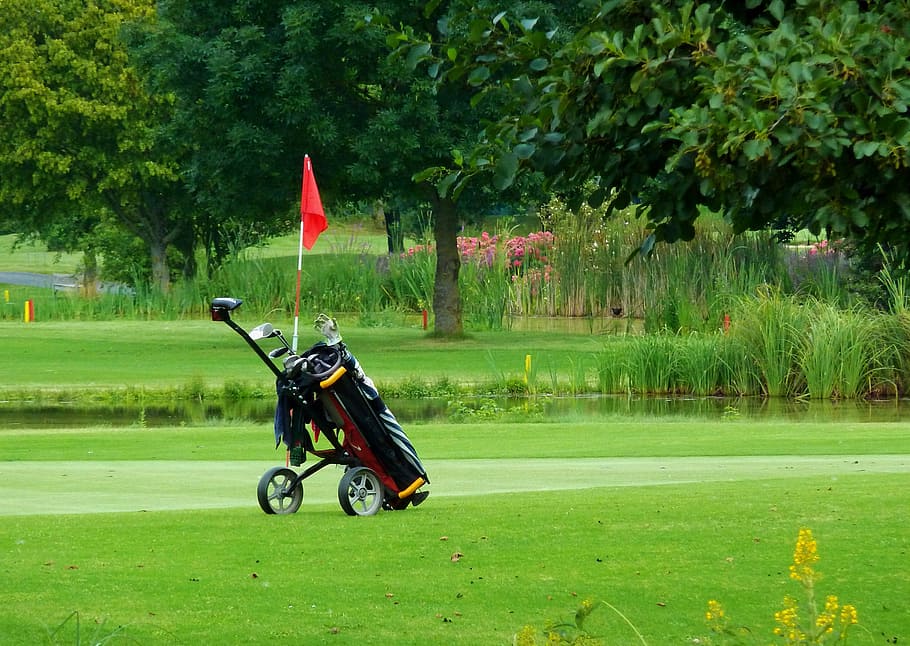 golf caddy, green, golf carts, sport, golfer, golf clubs, golfers HD wallpaper
