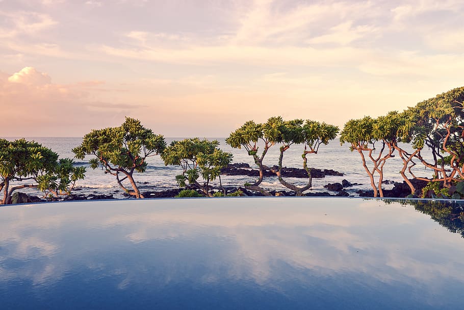 sea, swimming pool, tropical, sky, water, tree, sunset, plant HD wallpaper