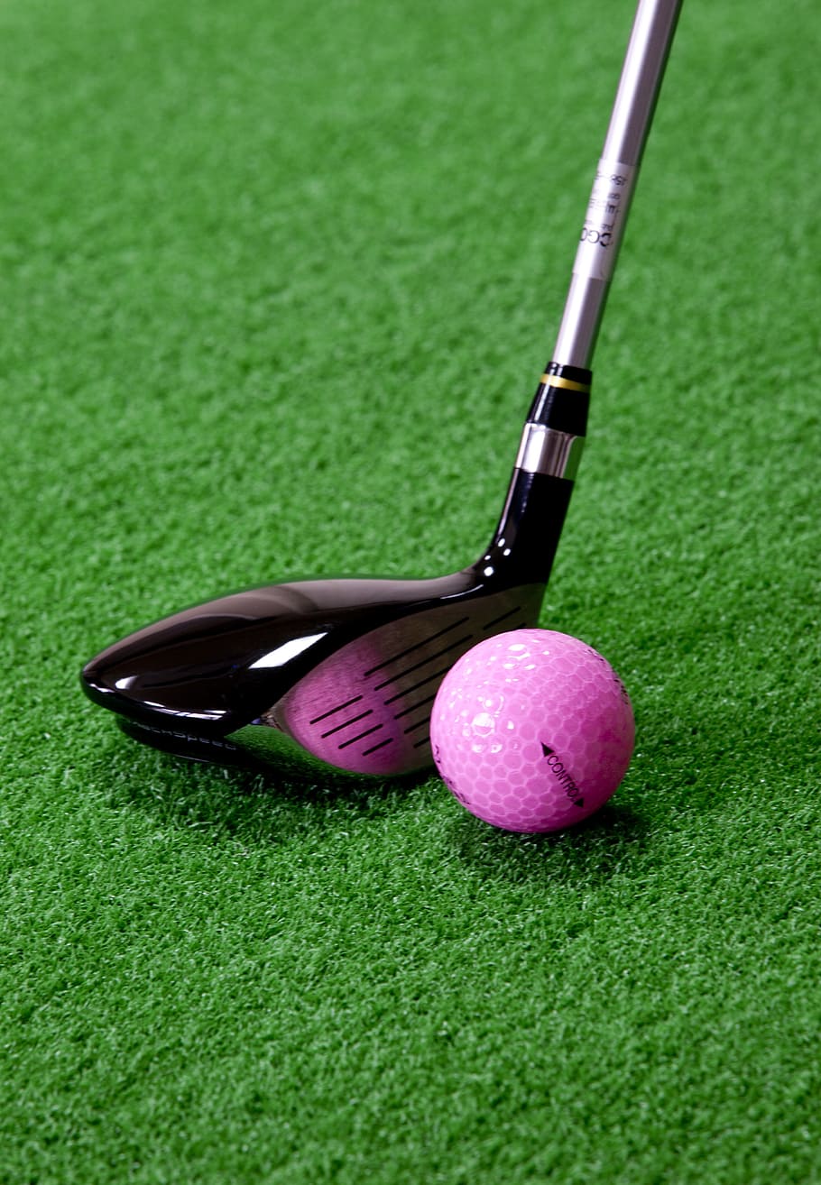 black and gray golf club near pink golf ball on field during daytime HD wallpaper