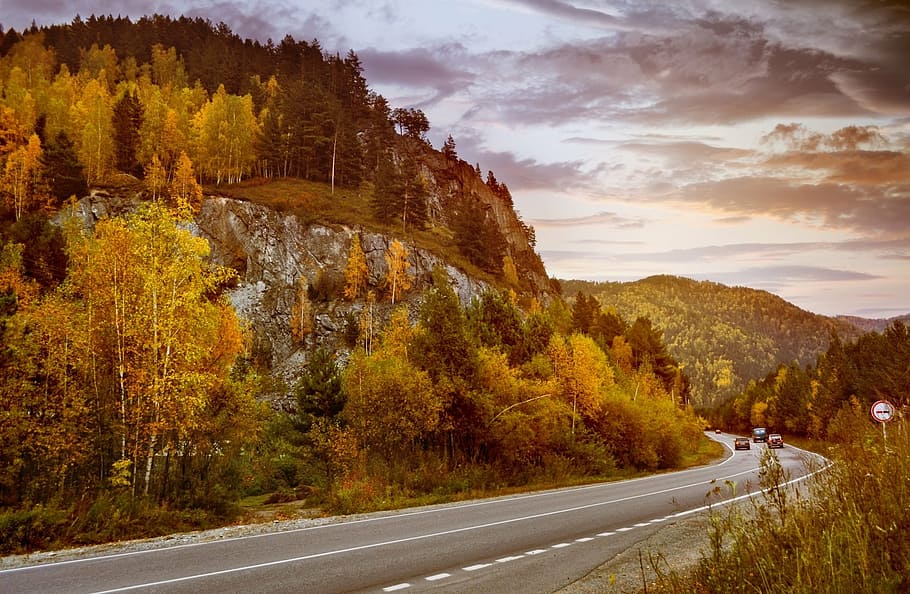green and brown trees near road photo, mountains, sunset, asphalt HD wallpaper