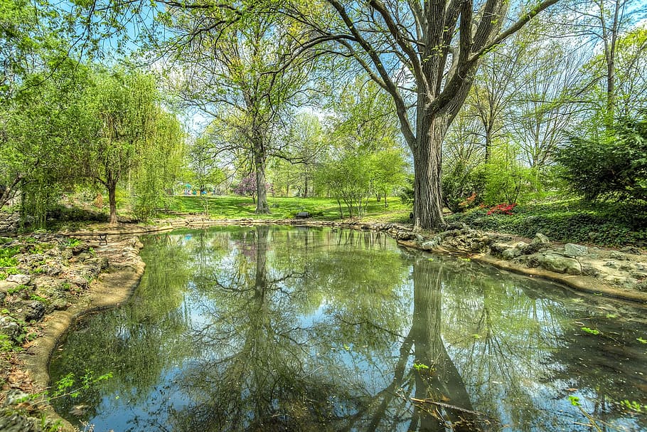 park, pond, reflection, landscape, water, nature, tree, pool HD wallpaper