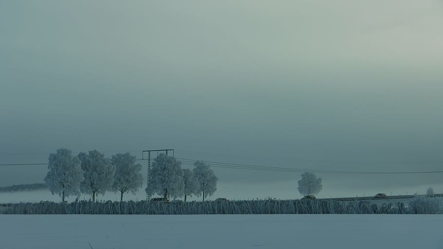 winter, mist, cold, landscapes, cooling, snow, nature, cold temperature HD wallpaper