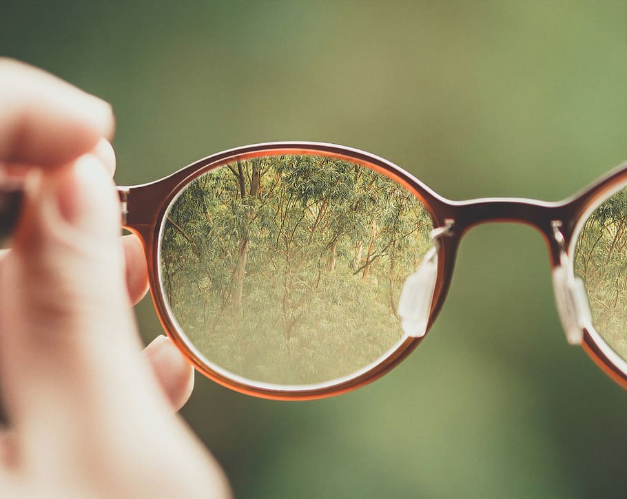 person holding brown eyeglasses with green trees background, trees reflecting in sunglasses lens HD wallpaper