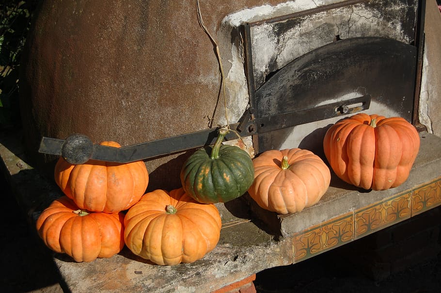 pumpkin, bread oven, farm, food, vegetable, food and drink HD wallpaper