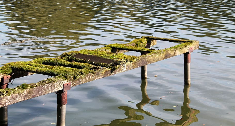 steeg, moss, nature, weathered, autumn, fouling, seascape, waters HD wallpaper