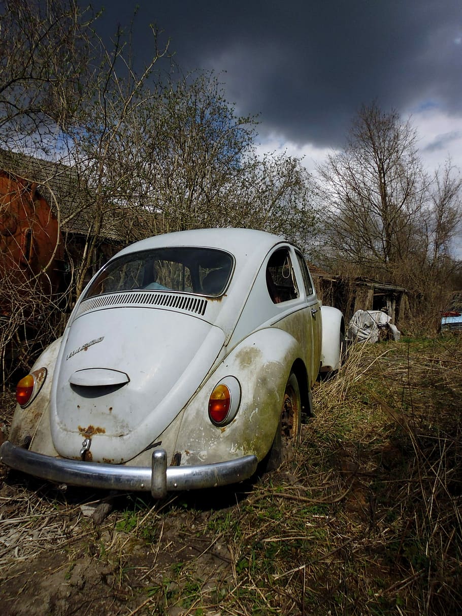 Vw Beetle, Auto, Oldtimer, Classic, vehicle, volkswagen, automotive HD wallpaper