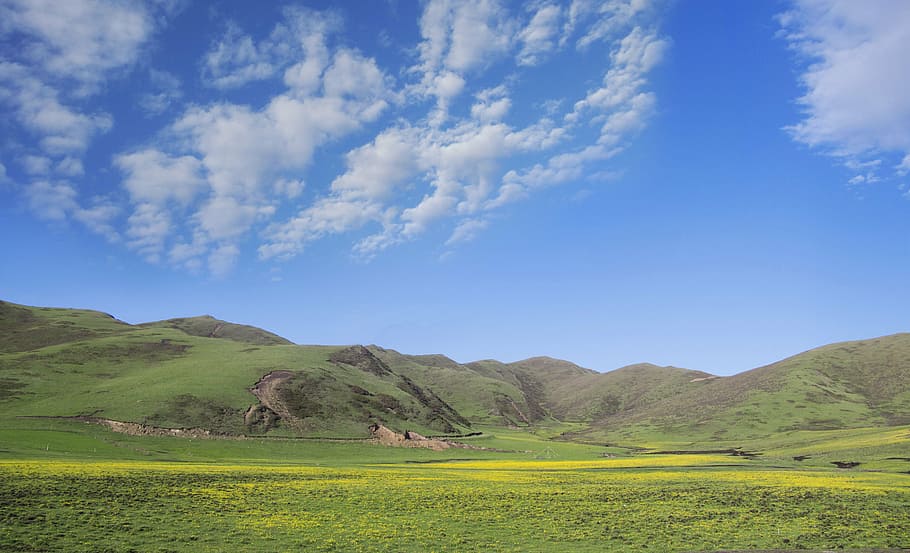prairie, sky, white cloud, landscape, environment, scenics - nature HD wallpaper