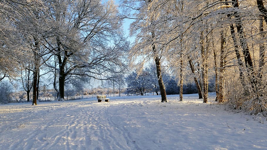snowland country, winterland country, bench in snow, wintry, HD wallpaper
