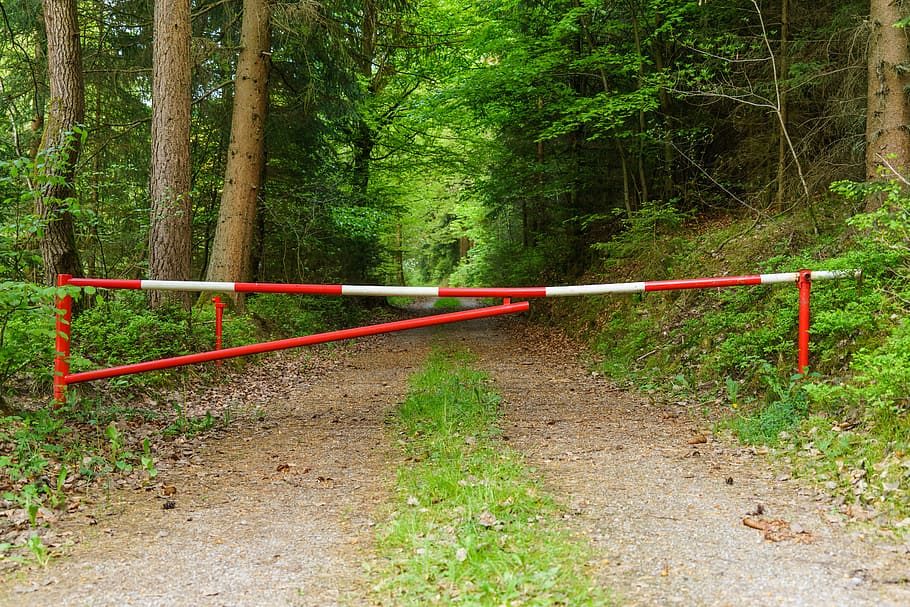 Barrier, Ban, Forest, Path, Lock, forest path, end, nature HD wallpaper