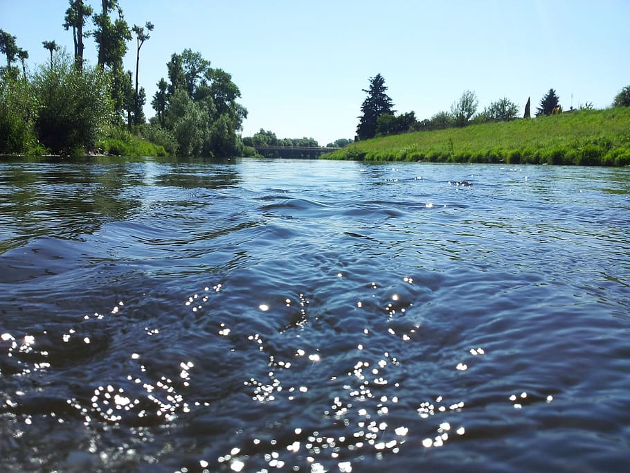 river, water, current, camp, nature, trees, waterfront, plant HD wallpaper