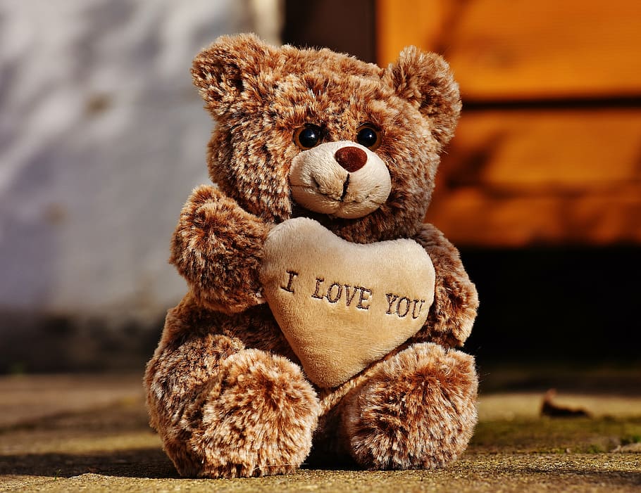 HD wallpaper: brown bear plush toy, teddy, love, sweet, bears, cute,  romantic | Wallpaper Flare