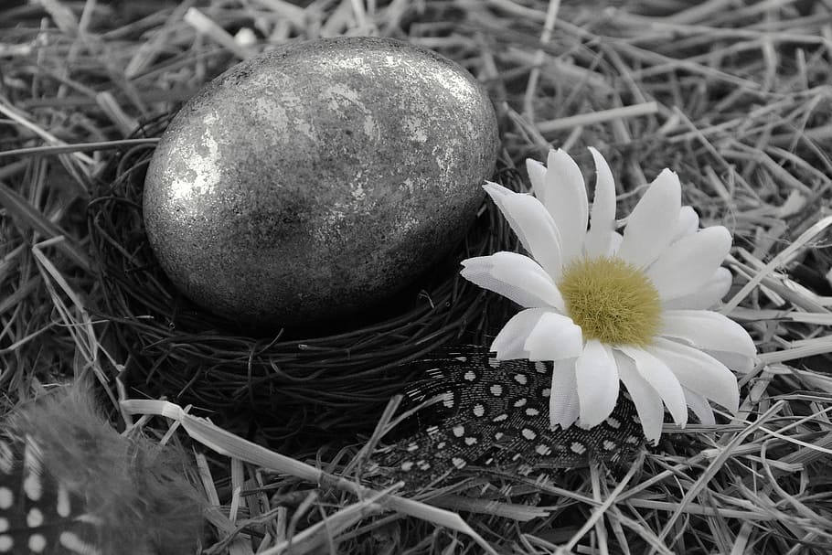 Easter Egg, Easter, Egg, Egg, Decoration, easter decoration HD wallpaper