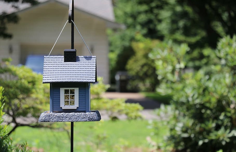 selective focus photography of miniature house, birdhouse, bird house