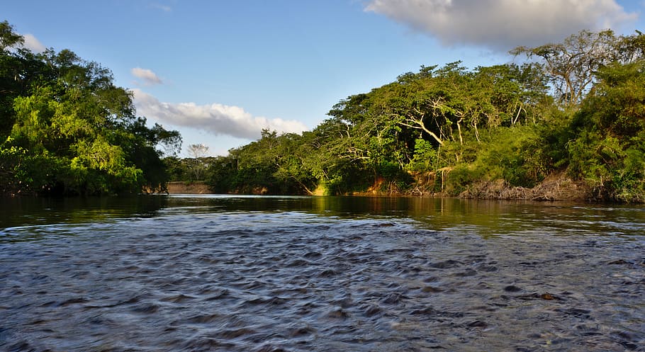 water, nature, river, tree's, flow, creek, rapid, swift, outdoors HD wallpaper