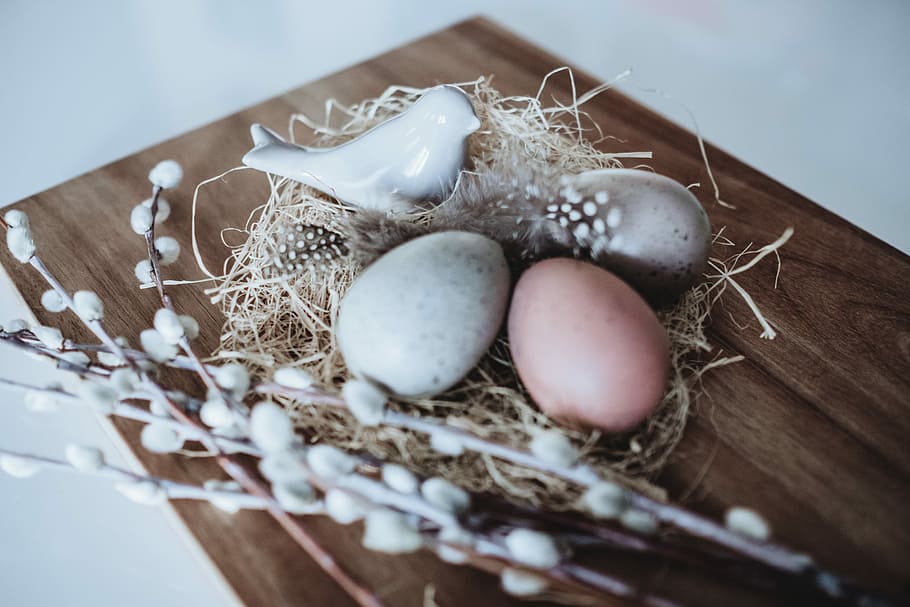 low light photography of three decorative eggs on nest, three assorted-color decorative eggs wall decor HD wallpaper