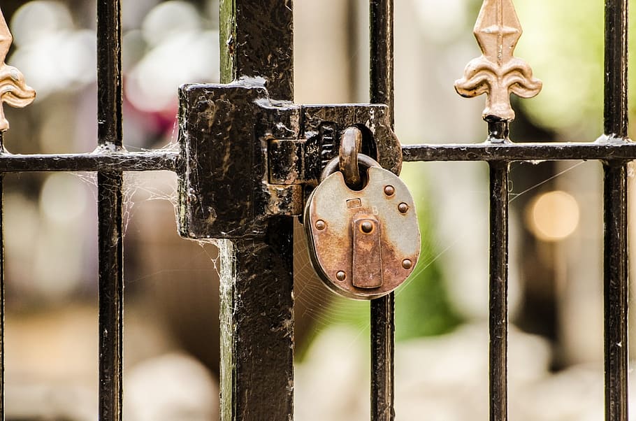 selective focus photo of padlock, gate, locked, private, close-up HD wallpaper
