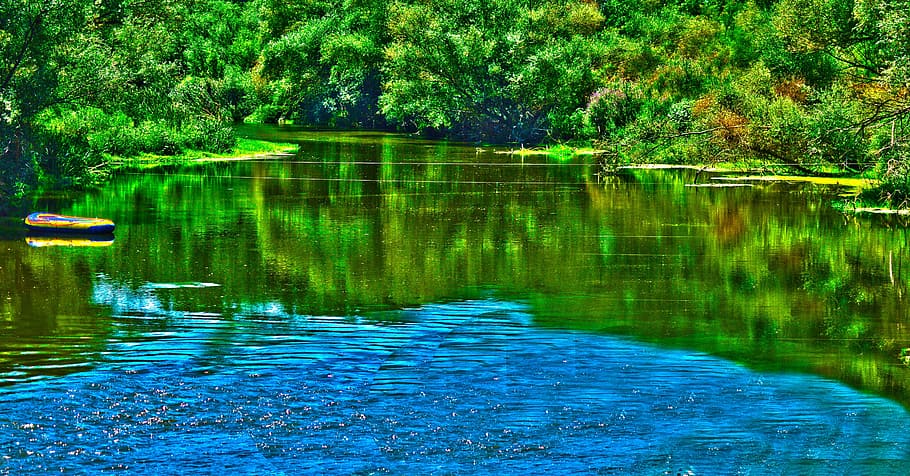 dd, nature, water, reflection, plant, tree, tranquility, beauty in nature, HD wallpaper