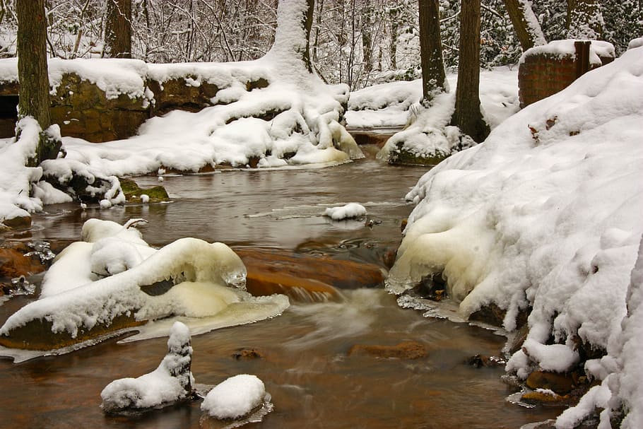 Winter, Bach, River, Ice, Snow, Forest, waterfall, ice cover HD wallpaper