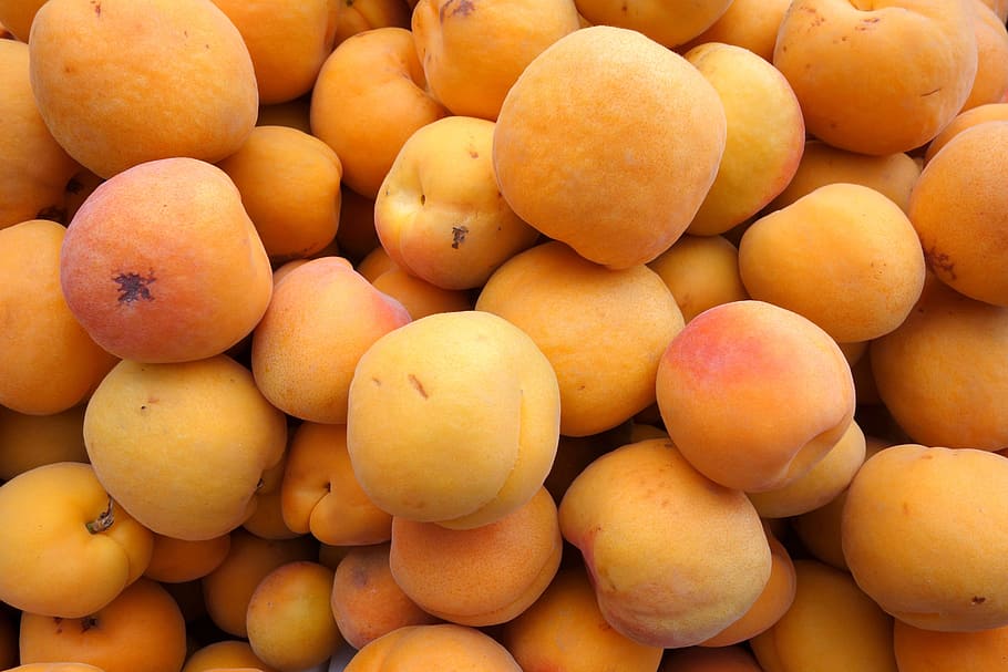 Apricots, Fruit, Orange, Background, food, orange fruit, dessert HD wallpaper