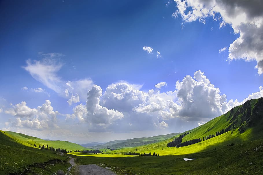 road on valley, the scenery, blue sky, white cloud, grassland, HD wallpaper