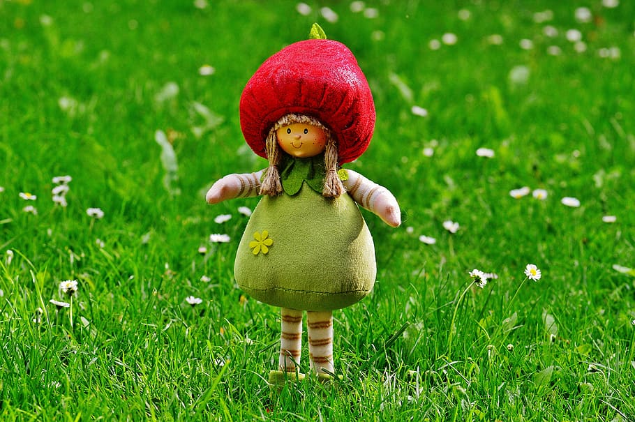 red and green plush toy on green grass field, dwarf, imp, sweet, HD wallpaper