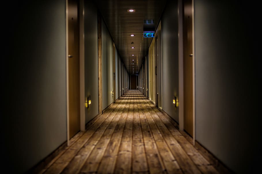 hallway of building, photo of hallway with lights on, door, indoors HD wallpaper
