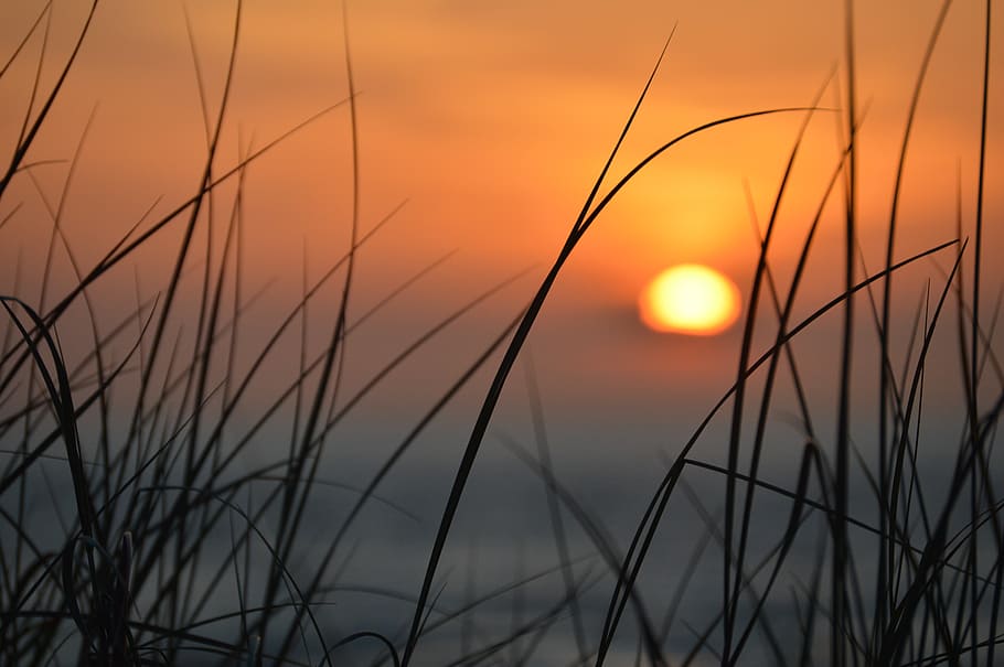 sun, setting, abendstimmung, mood, sunset, evening, dusk, landscape HD wallpaper
