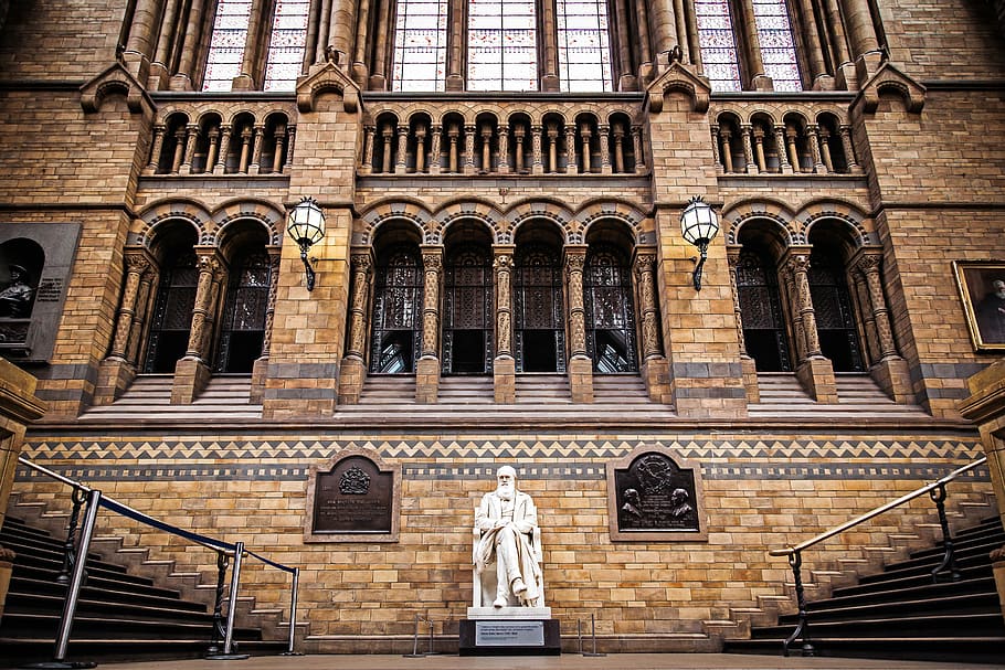 landscape photo of statue infront of brown building, man statue HD wallpaper