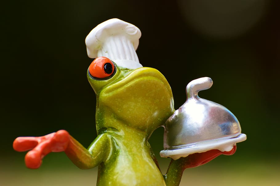 frog, cooking, eat, kitchen, gourmet, food, preparation, funny HD wallpaper