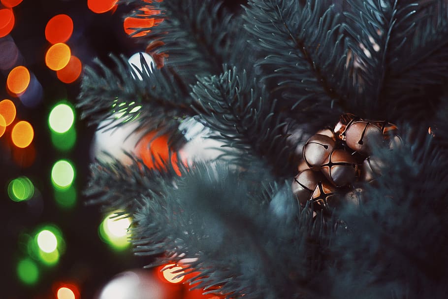 bokeh photography of christmas tree, selective focus photography of green pine tree HD wallpaper