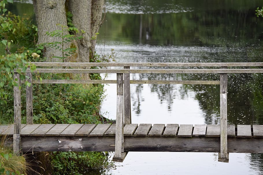 bro, å, still, wooden bridge, water, reflection, plant, lake