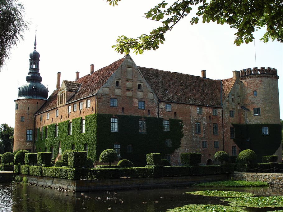 Sweden, Elder, efeubewachsen, surrounded with moat, architecture HD wallpaper