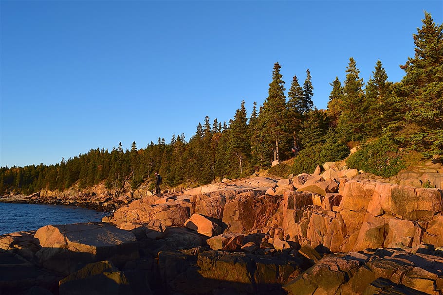 sunset, trees, rocks, pine trees, maine, nature, landscape HD wallpaper