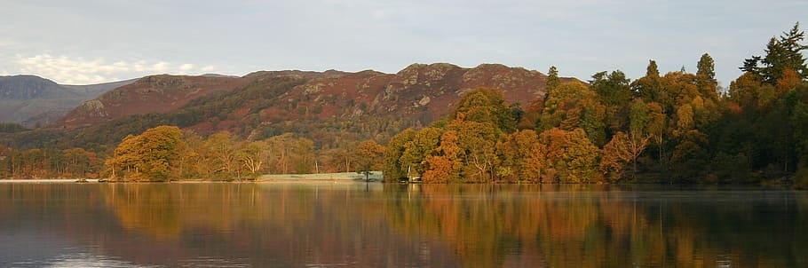 panoramic photo of tree and lake during daytime, england, landscape, HD wallpaper