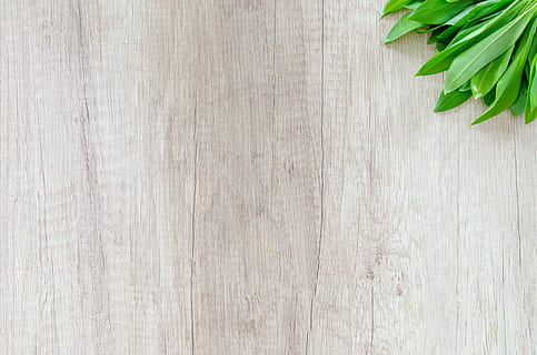 green leafed vegetable on brown wooden surface, green leaf plant on brown wooden surface HD wallpaper
