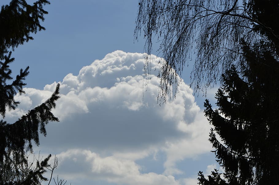 clouds, blue sky, trees, silhouettes, background image, plant HD wallpaper