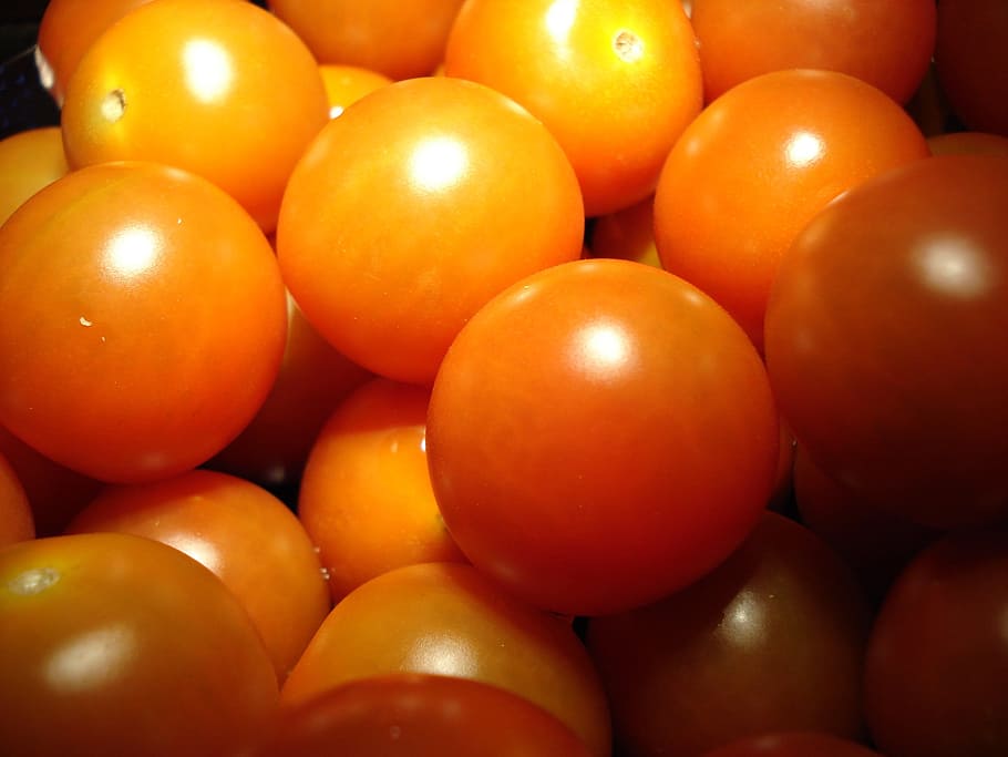 tomato, fruit, cook, vegetables, red, food and drink, healthy eating HD wallpaper