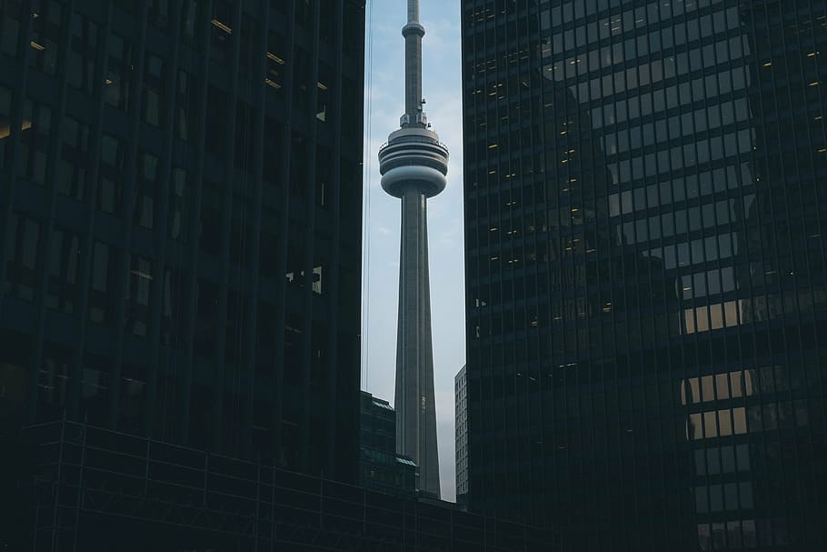 CN Tower during daytime, television tower, structure, antenna, HD wallpaper