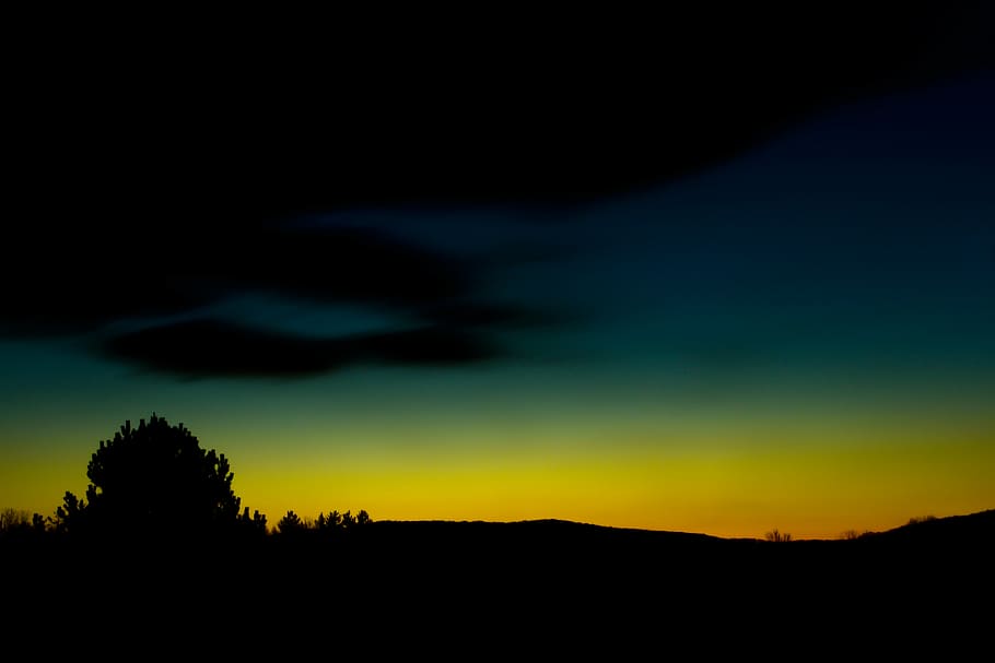 silhouette of tree during sunrise, photography, susnet, dark HD wallpaper