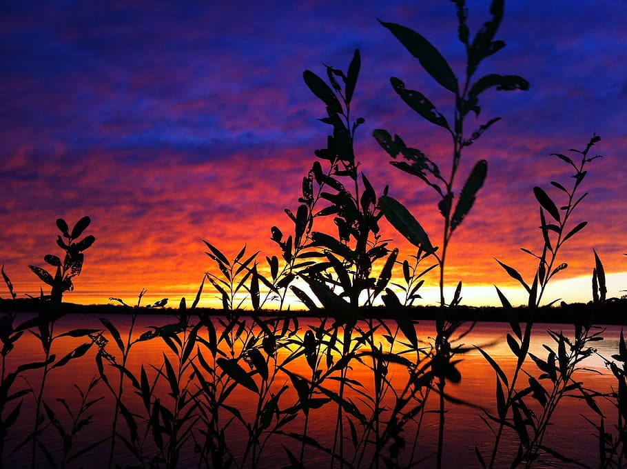 sunset, wisconsin, powers lake, clouds, midwest, color, water HD wallpaper