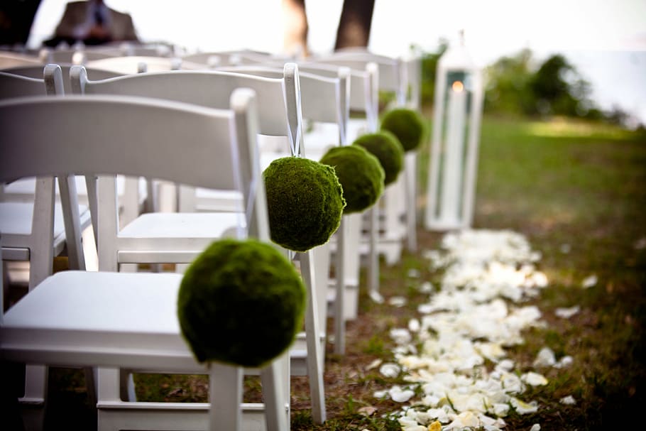empty white wooden chairs lot, wedding, seating, seats, decorated HD wallpaper