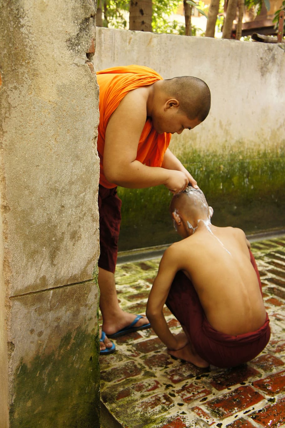 man shaving another man's head, monk, help, myanmar, body care HD wallpaper