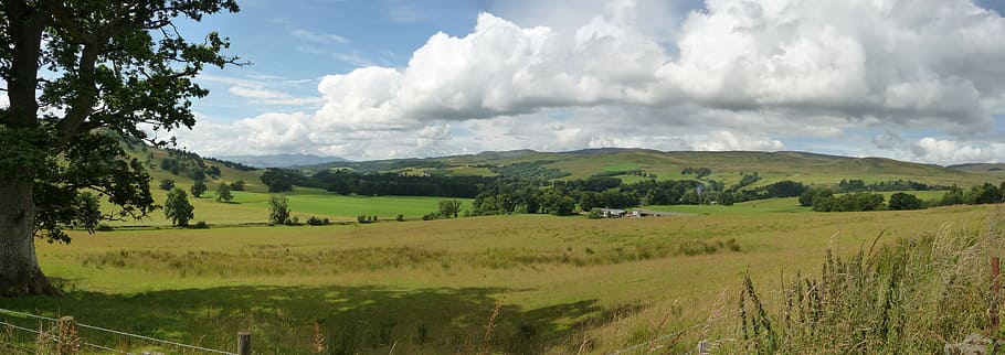 green grass field, landscape, feild, horizon, clouds, rural HD wallpaper