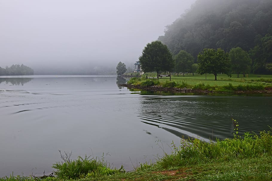 Ripples In The Water, melton lake park in the fog, tennessee