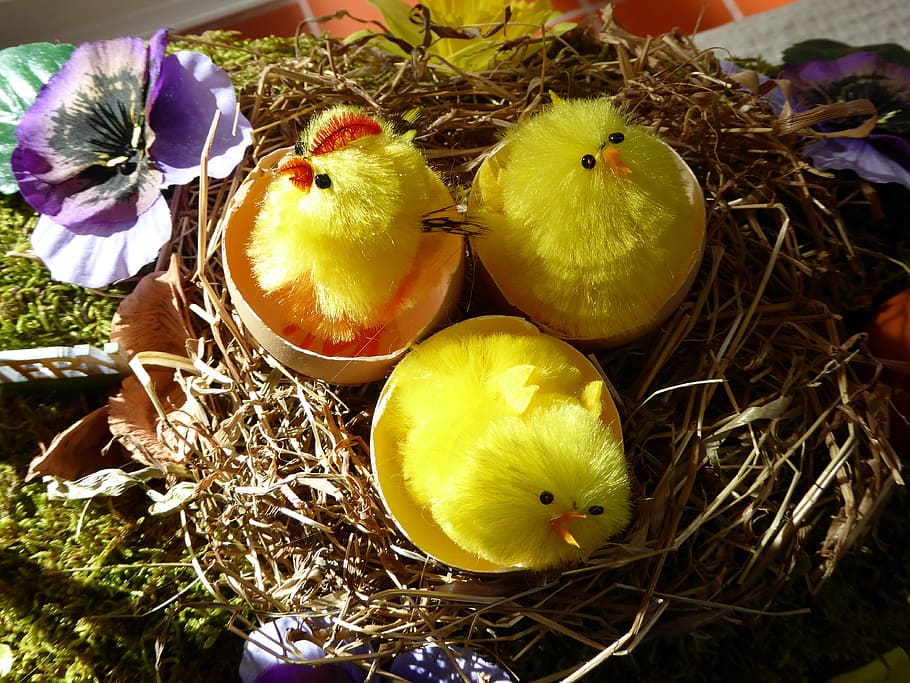 Easter, Egg, Nest, Decoration, Chicks, art object, yellow, bird's nest HD wallpaper