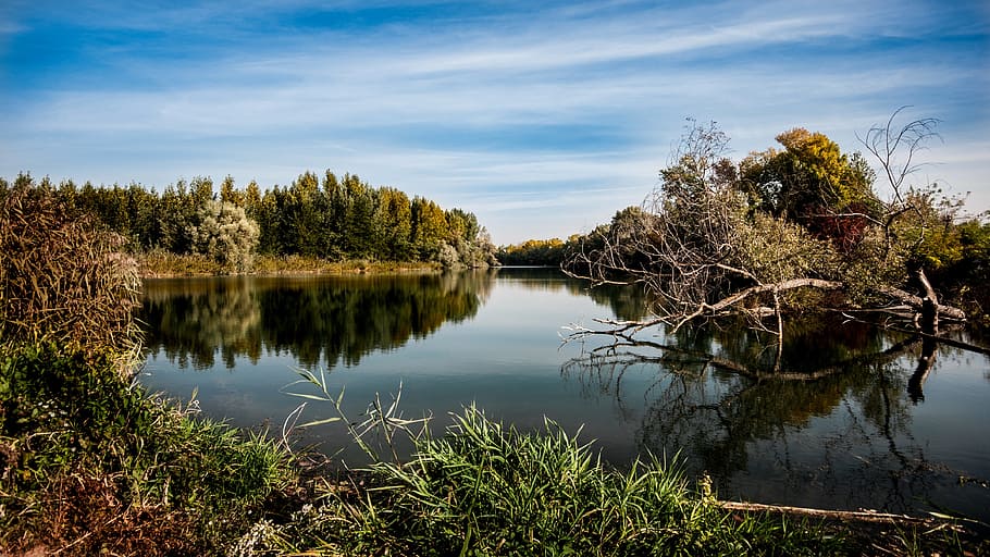 nature, sky, water, clouds, autumn, daylight, fall, grass, lake HD wallpaper