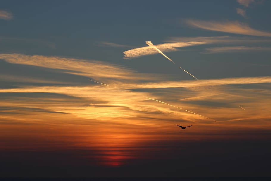 sunset, twilight, evening, sky, nature, flying, dusk, cloud - sky HD wallpaper