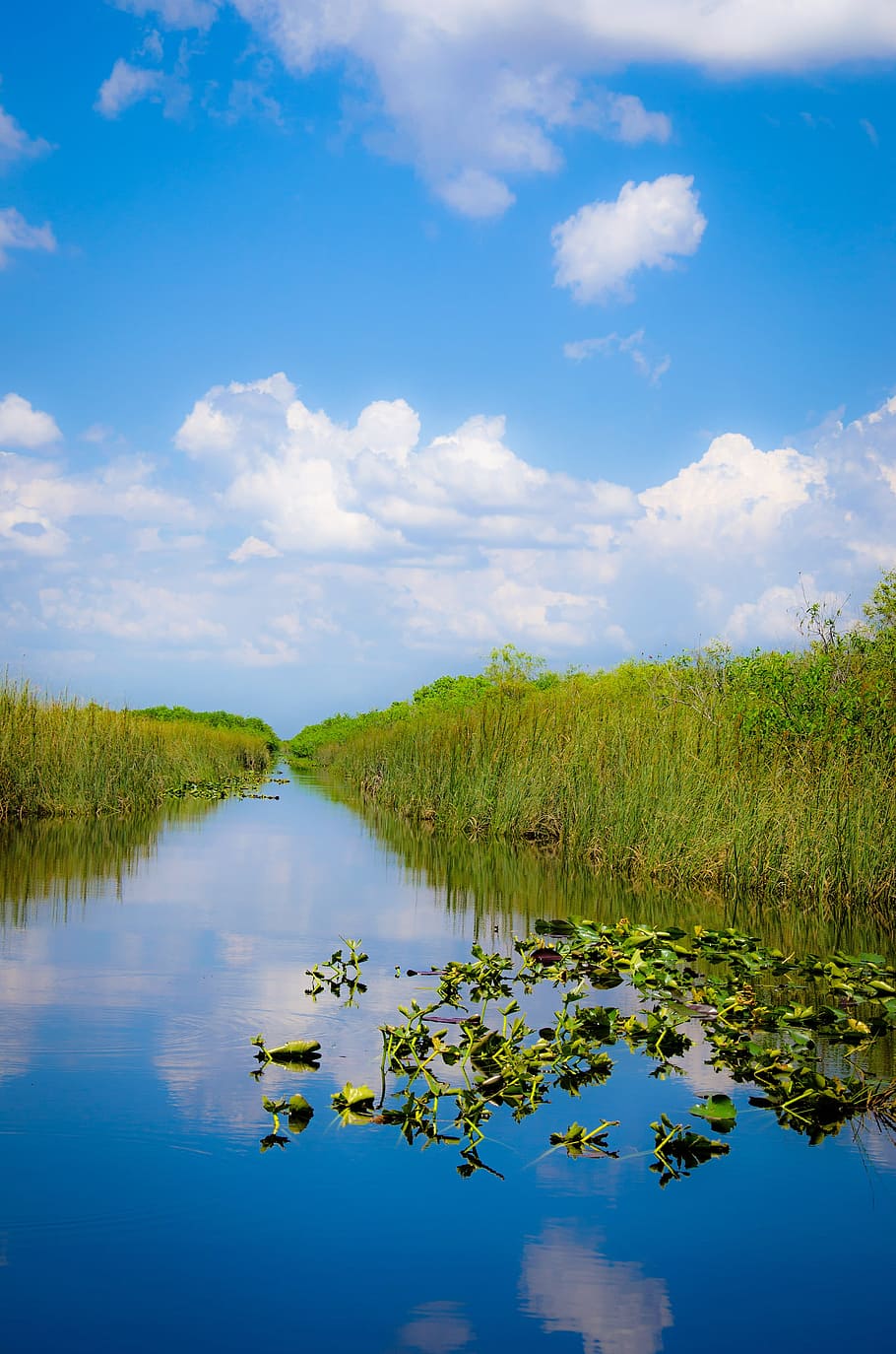 Everglades 1080P, 2K, 4K, 5K HD wallpapers free download | Wallpaper Flare