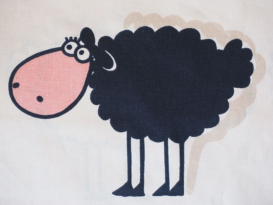 HD wallpaper: black sheep printed textile, animal, wool, livestock, funny,  fur | Wallpaper Flare