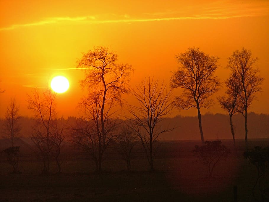 sunset, winter, landscape, nature, tree, evening, outdoor, trees HD wallpaper